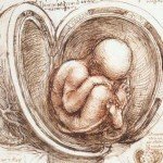 body-and-mind-embryo-leonardo-da-vinci