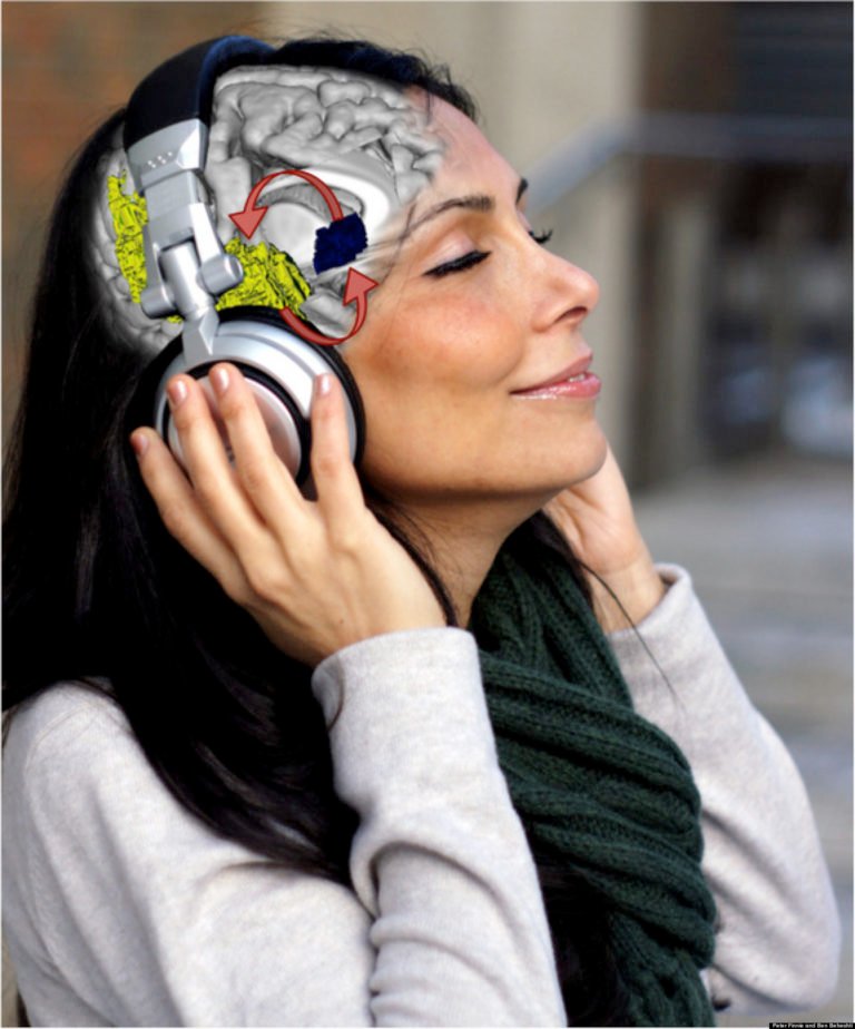 Music And The Brain Music Psychology 